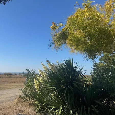 Serenite-565 Au Des Reves-camping 4 Etoiles-mobilhome 3ch-6pl-clim-sdb-wifi-au Calme, Belle Vue Sur Le Lac, Sans Vis A Vis Κάμπινγκ Lattes